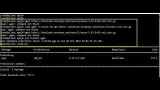 bash wget command not found