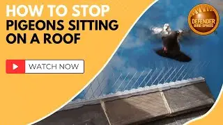 How to Stop Pigeons Sitting on a Roof using Defender Ridge Spikes