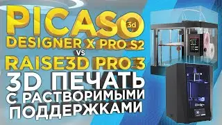 Лучшие 3Д принтеры с 2-мя экструдерами PICASO X PRO S2 VS Raise3D PRO3 | Какой 3D принтер выбрать ?