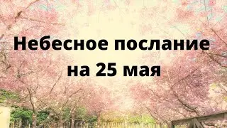 Небесное послание на 25 мая. Триумф.