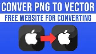 How To Convert Image To Vector Online (2024)