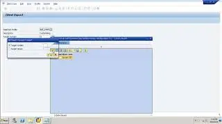 SAP Basis - Import Export Client