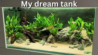 Perfect planted Cichlid tank? Step by step tutorial for beginners!