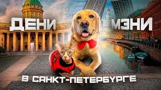 Первая фан-встреча Дени и Мэни в Питере🥳 Пришли тысячи людей😱 Заселились в космический номер🪐