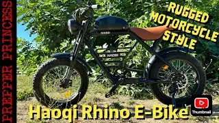 Haoqi Rhino Motorcycle Style E-Bike Review