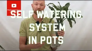 All you need to know about selfwatering systems in pots