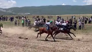 Скачки Губден 03.07.2023 1600 м для 2-х лет