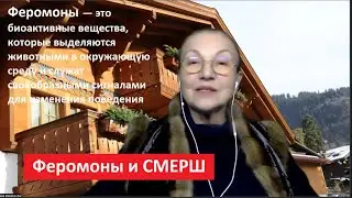 Феромоны и СМЕРШ. Реплика № 5103