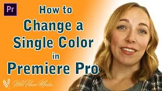 How to change a single color in Adobe Premiere Pro