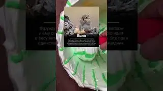 Эти слова НЕЛЬЗЯ ГУГЛИТЬ