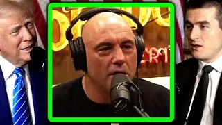 Donald Trump on Joe Rogan | Lex Fridman Podcast Clips