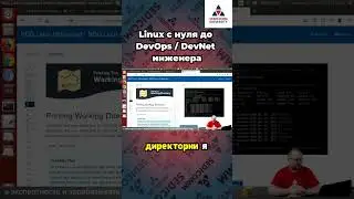 Курс #linux с нуля до #devops / #devnet инженера. Путь к текущей директории в Linux