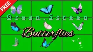 Green Screen Animation - Chroma key BUTTERFLY | Unlispace Copyright Free 2021