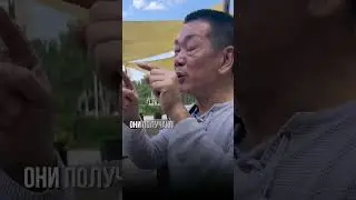 Почему дети не послушные