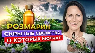 РОЗМАРИН 🌾 Почему СКРЫВАЮТ эти ФАКТЫ 🌾 Разгадан секрет ВЕЧНОЙ МОЛОДОСТИ