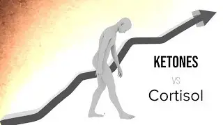 Keto 101 - Ketones vs Cortisol