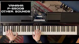 Yamaha P-S500B Demo Part. 2 "Other Sounds" | No Talking |