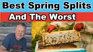 Beekeeping : Various Ways To Make Spring Splits