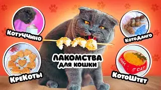 КОТОКАФЕ: ВКУСНЯШКИ для КОШКИ СВОИМИ РУКАМИ | ГОТОВИМ ЛАКОМСТВА для БАТТЕРС