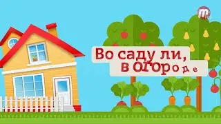 "Во саду ли, в огороде" (выпуск от 16.06.23)