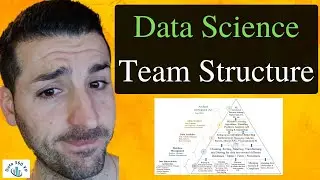 Data Science Team Structure & Data Science Hierarchy of Needs