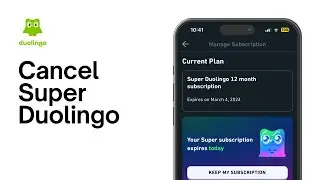 How to Cancel Super Duolingo (Quick and Easy)