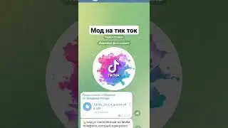 мод на тик ток 