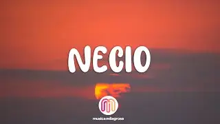 Necio - Romeo Santos (Letra/Lyrics)
