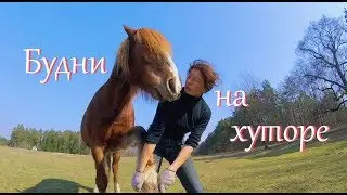 Деревенские будни. Чем мы занимались три дня // Жизнь на хуторе