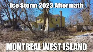 Montreal Ice Strom 2023 Aftermath. Walk in Beaconsfield in West Island.