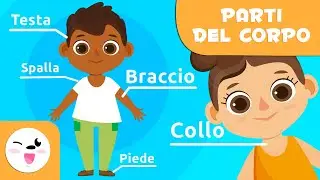 Le parti del corpo umano per bambini | Video educativi per bambini