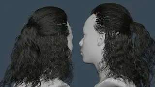 making of Hair in Blender GN V1