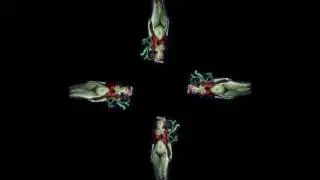 Poison Ivy Hologram (Screen Down)