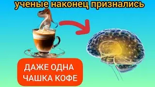 99% Людей даже не ЗНАЮТ, что ТВОРИТ КОФЕ с сосудами, даже одна чашка....