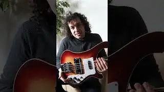 Cheap VS Expensive (Bass Guitar)