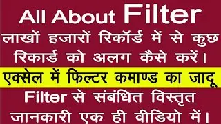 How To Filter The Records | Excel Tutorial in Hindi - 21