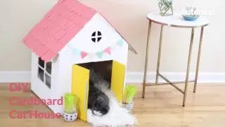 How To Build A Cat House - Cuteness.com