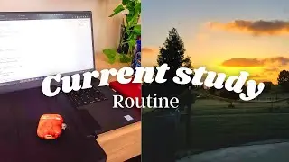 My Current Study Routine as a College Student - Study with Me!