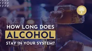 How Long Does Alcohol Stay in Your System? (Urine, Blood & Breath) #Breathalyzer #AlcoholFacts