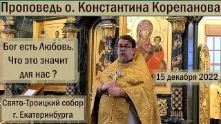 Проповедь иерея Константина Корепанова. Бог есть Любовь. Что это значит для нас? (15.12.2022)