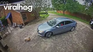 Amazon Driver Runs Over Package He Just Delivered || ViralHog