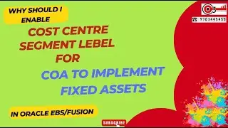 Why should i Enable Cost Centre Segment Lebel for COA to Implement Fixed Assets in Oracle EBS/Fusion