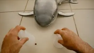 Baby Shark cute playing the shell game