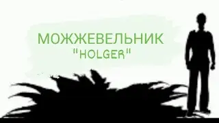 Можжевельник Холгер "Holger"