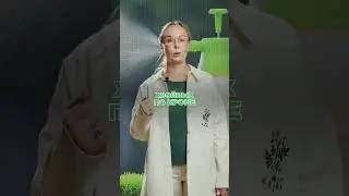 Весенняя помощь хвойным