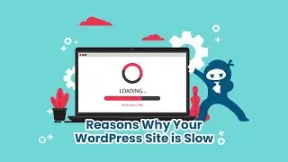 This Is Why Your WordPress Site Is Slow