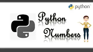 Python numbers || Numeric types in python || Python programming || 3 minutes master || Neverquit