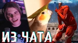 🤣СМОТРЮ СМЕШНЫЕ ВИДЕО ИЗ ЧАТА ТВИЧА
