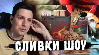 МАЗЕЛЛОВ СМОТРИТ СЛИВКИ ШОУ: БОЛОТО В АКВАРИУМЕ ИЗ БУДУЩЕГО - ДЕНЬ 1 | SlivkiShow