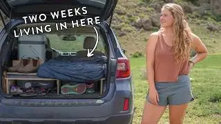 Chore day living in my car & a SURPRISE trip to a HOMESTEAD 👀